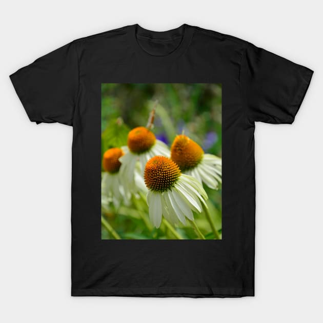 White Swan Echinacea T-Shirt by jojobob